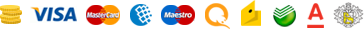 Visa, MasterCard systems connect